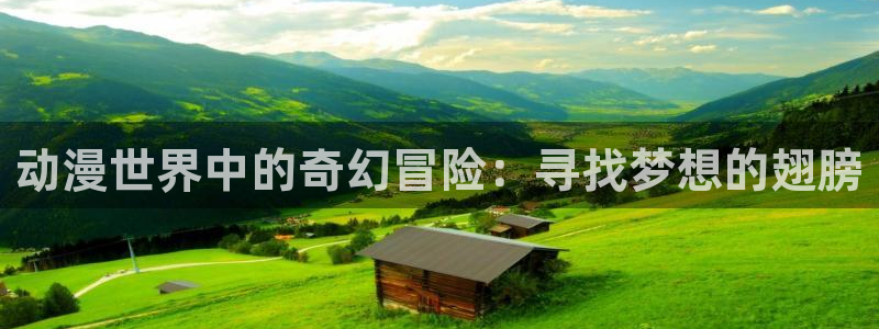 囧次元怎么登录：动漫世界中的奇幻冒险：寻找梦想的翅膀