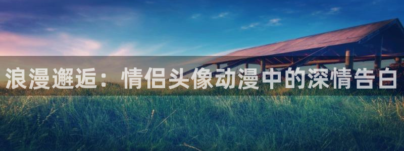 囧次元官网入口下载最新版：浪漫邂逅：情侣头像动漫中的深情告白