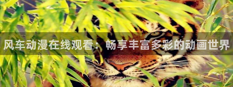 囧次元app官方版下载：风车动漫在线观看：畅享丰富多彩的动画世界