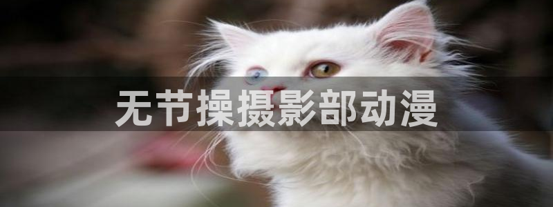 囧次元app最新版：无节操摄影部动漫