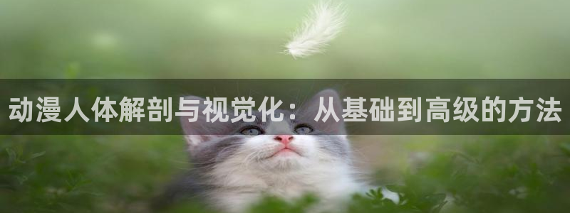 囧次元官网：动漫人体解剖与视觉化：从基础到高级的方法