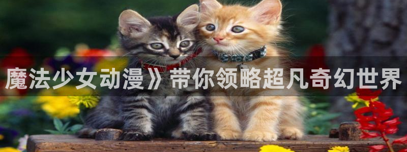 囧次元官方网站网址：魔法少女动漫》带你领略超凡奇幻世界