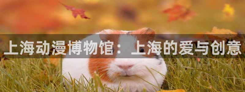 囧次元在线看：上海动漫博物馆：上海的爱与创意