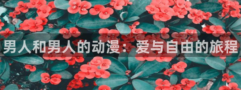 囧次元在哪下：男人和男人的动漫：爱与自由的旅程