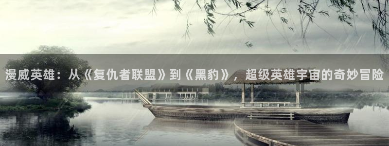 囧次元app下载安装：漫威英雄：从《复仇者联盟》到《黑豹》，超级英雄宇宙的奇妙冒险