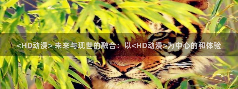囧次元官方正版app下载：<HD动漫> 未来与现世的融合：以<HD动漫>为中心的和体验