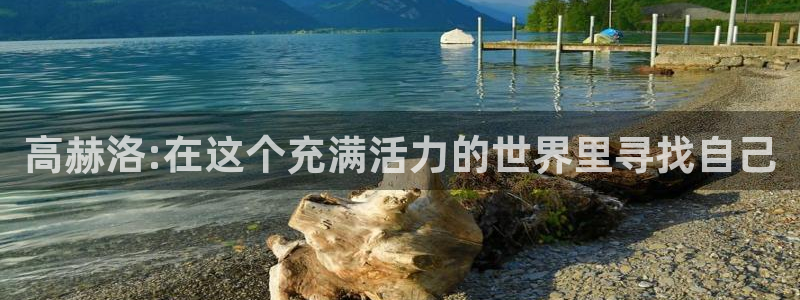 囧次元官网下载：高赫洛:在这个充满活力的世界里寻找自己