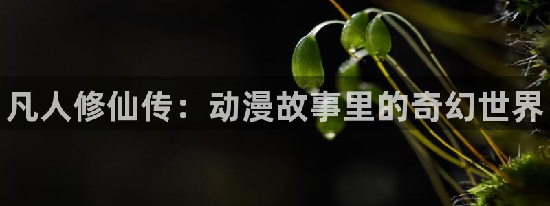囧次元app下载动漫：凡人修仙传：动漫故事里的奇幻世界