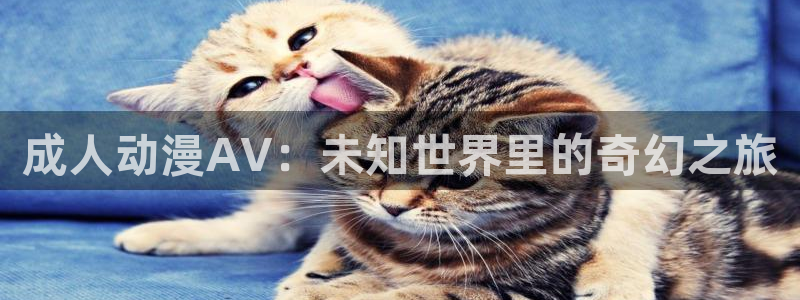 囧次元ios官网入口：成人动漫AV：未知世界里的奇幻之旅