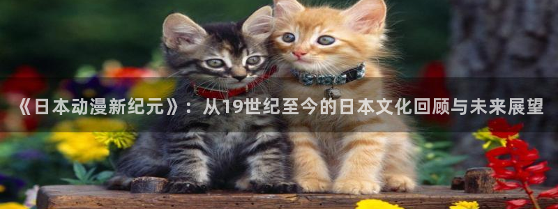 囧次元最新版官方正版：《日本动漫新纪元》：从19世纪至今的日本文化回顾与未来展望