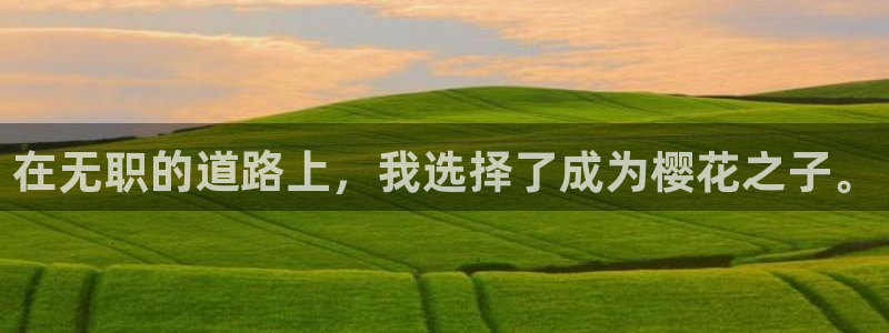 囧次元网页版：在无职的道路上，我选择了成为樱花之子。