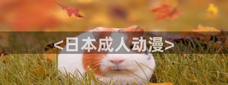 囧次元app下载官方正版：<日本成人动漫>