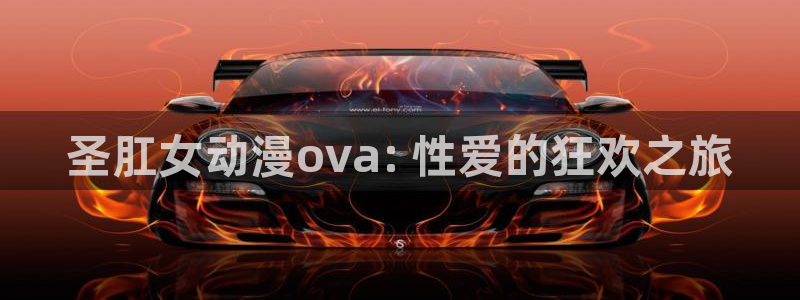 囧次元大全：圣肛女动漫ova: 性爱的狂欢之旅