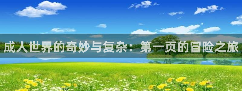 囧次元正版：成人世界的奇妙与复杂：第一页的冒险之旅