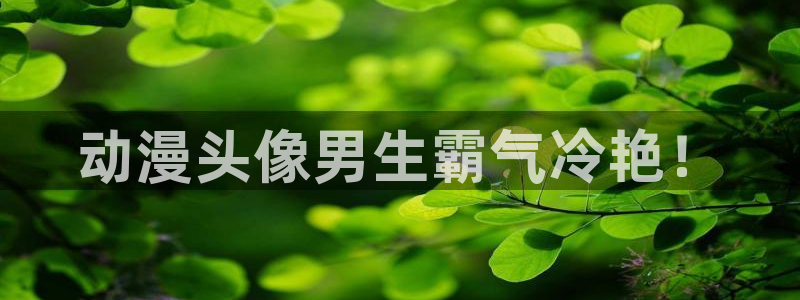 囧次元动漫官网入口：动漫头像男生霸气冷艳！