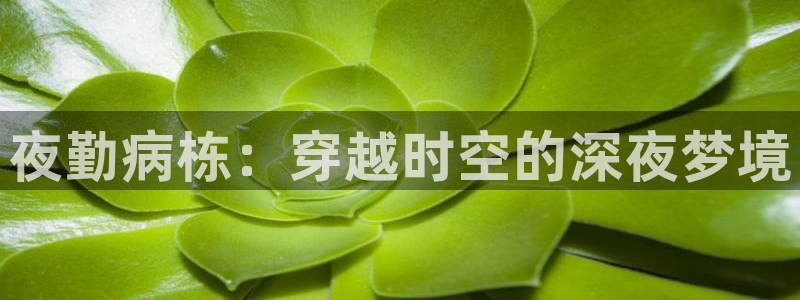 囧次元app官方入口：夜勤病栋：穿越时空的深夜梦境