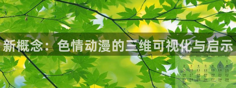 囧次元在线官网入口：新概念：色情动漫的三维可视化与启示