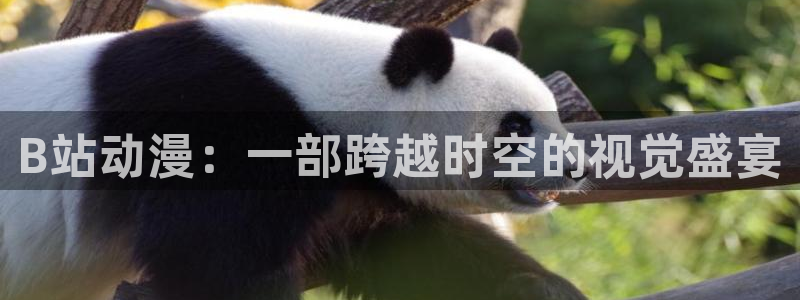 囧次元app官方下载：B站动漫：一部跨越时空的视觉盛宴
