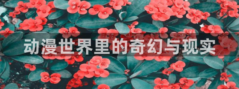 囧次元动漫下载app官网：动漫世界里的奇幻与现实
