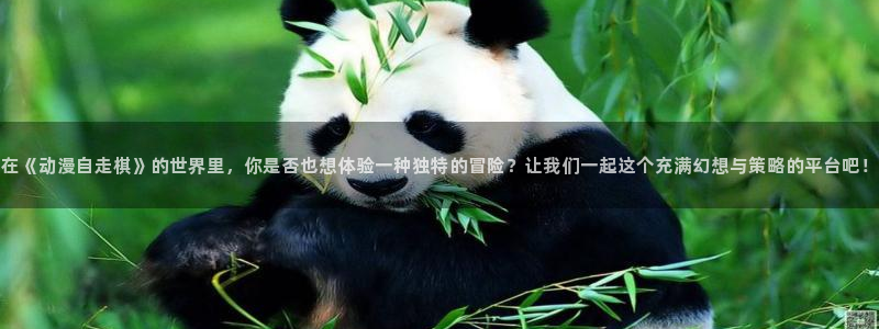 囧次元app下载官方最新：在《动漫自走棋》的世界里，你是否也想体验一种独特的冒险？让我们一起这个充满幻想与策略的平台吧！