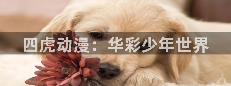 囧次元网页版：四虎动漫：华彩少年世界
