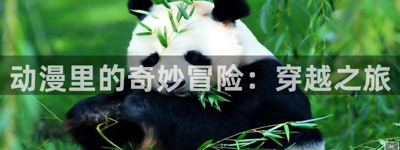囧次元官网网址最新：动漫里的奇妙冒险：穿越之旅
