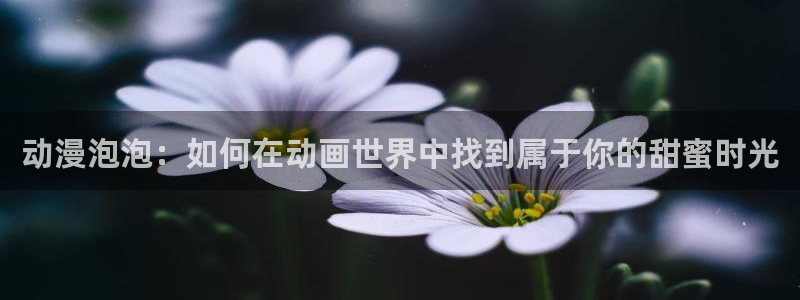 囧次元下载：动漫泡泡：如何在动画世界中找到属于你的甜蜜时光