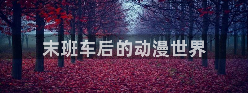 囧次元官网在线观看免费入口：末班车后的动漫世界