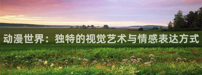囧次元更新：动漫世界：独特的视觉艺术与情感表达方式