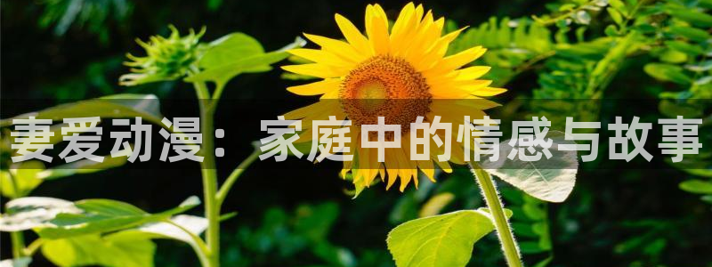 囧次元最新版本下载官方正版：妻爱动漫：家庭中的情感与故事