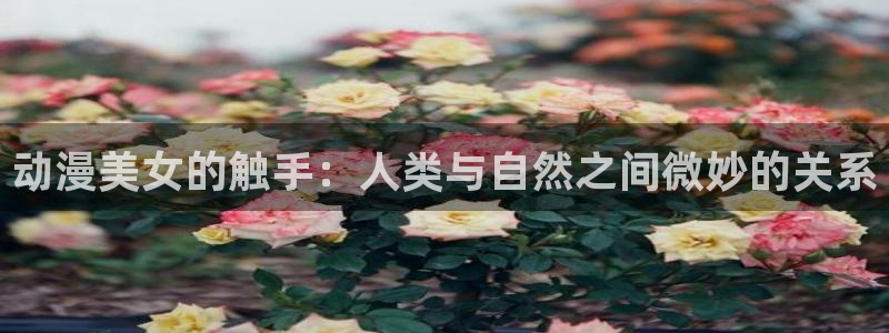 囧次元官方网站网址：动漫美女的触手：人类与自然之间微妙的关系