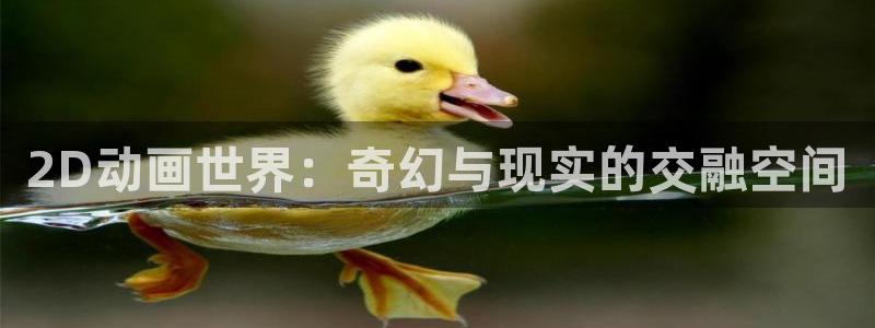 囧次元在线观看入口：2D动画世界：奇幻与现实的交融空间