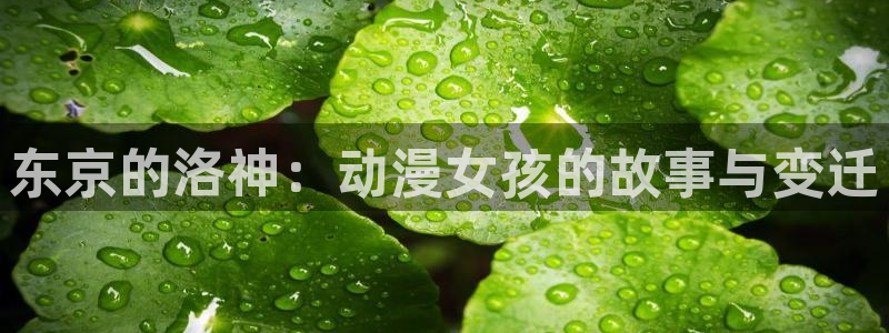 囧次元官方正版官网入口：东京的洛神：动漫女孩的故事与变迁